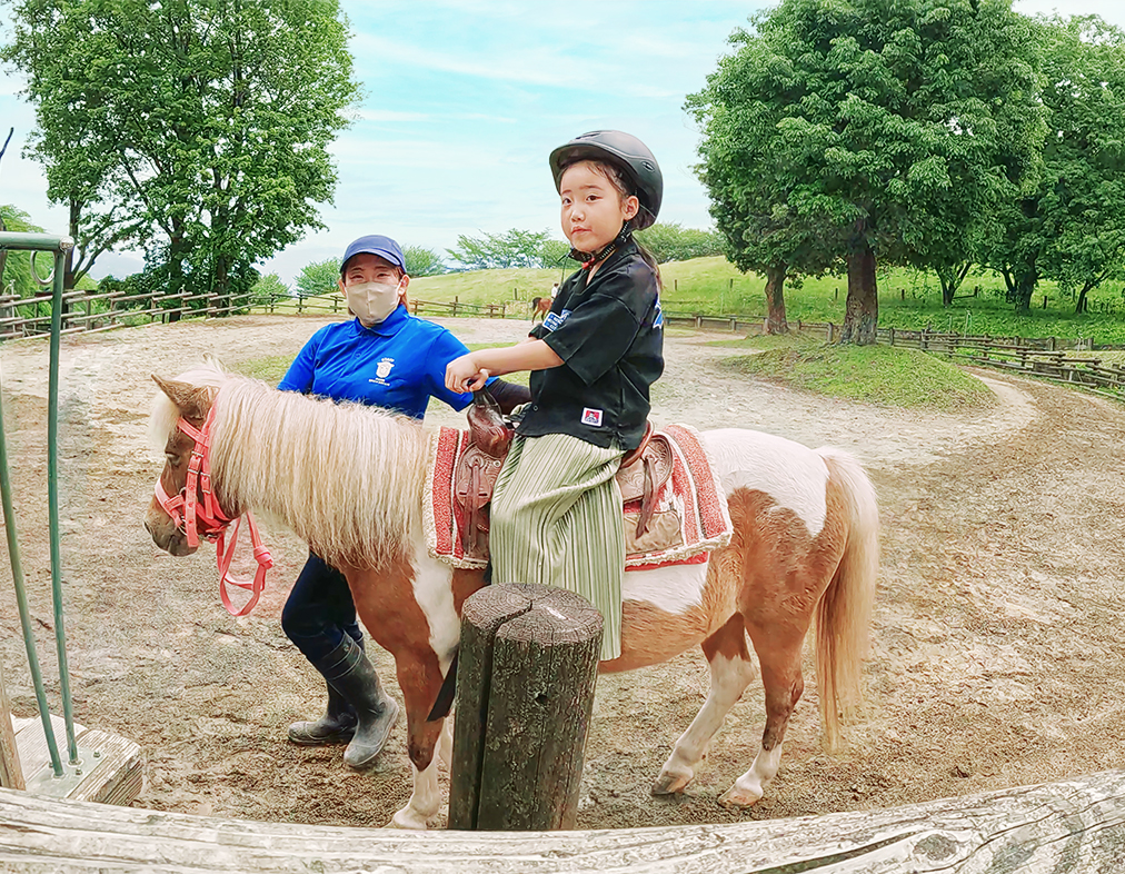 群馬 ポニー 乗馬 ほおずき シャネル