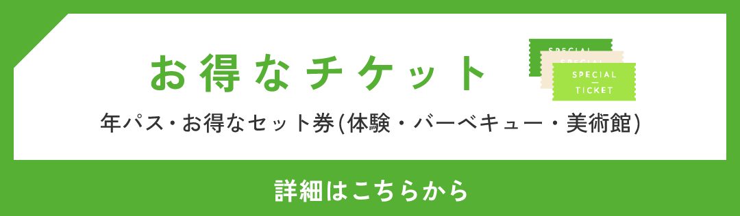 お得なチケット